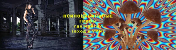 спиды Алексин