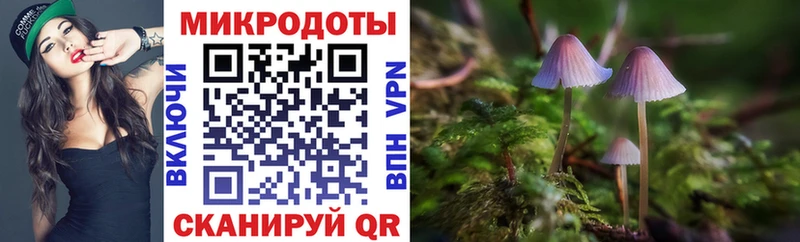 купить   Елизово  Галлюциногенные грибы Magic Shrooms 